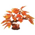 HUGO KAMISHI AUTUMN OAK 23CM